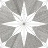 Gloss argent